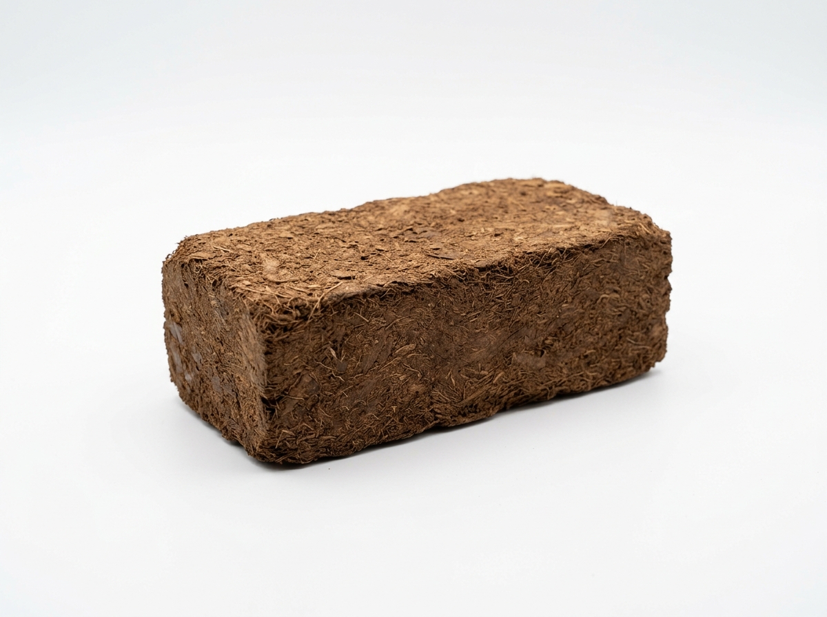 Cocopeat Blok (5 kg)